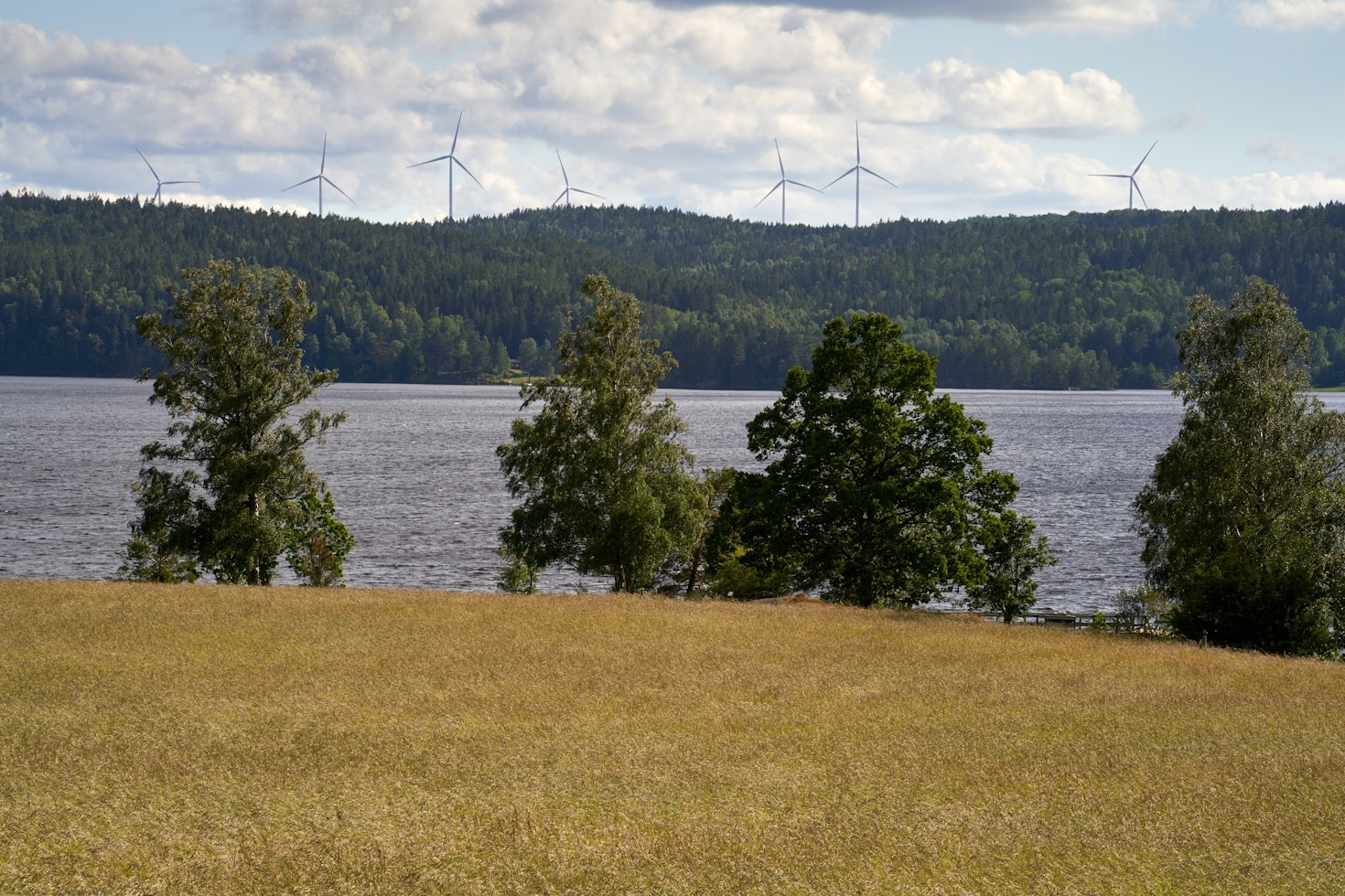 Exploring Swedish Technologies for a Sustainable Energy Future